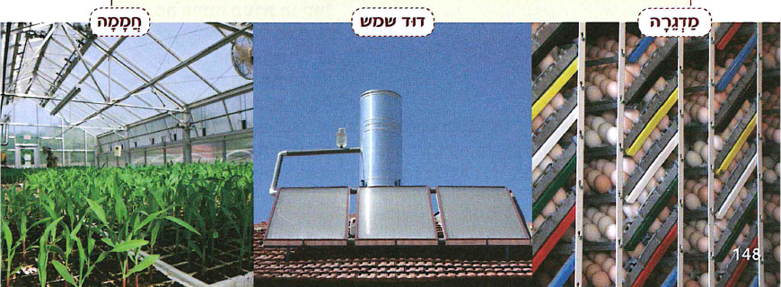 (בספר שלוש תמונות:) מדגרה, דוד שמש, חממה